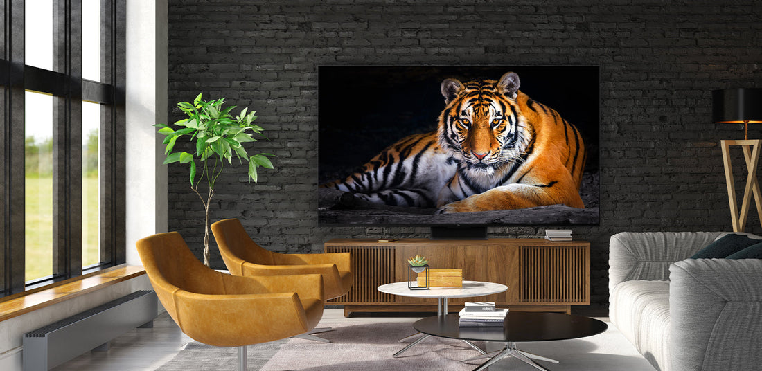 Introducing Q-Series: A New Dimension of Entertainment
